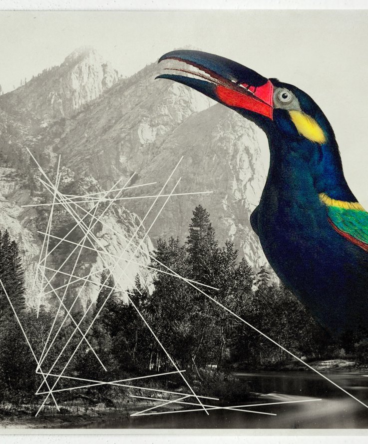 Zora, 2013,<br />
Digital print and coloured pencils on handmade paper, 50x70 cm