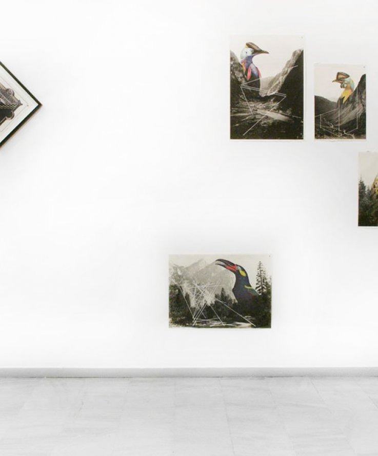 Exhibition View,<br />
TinT Gallery