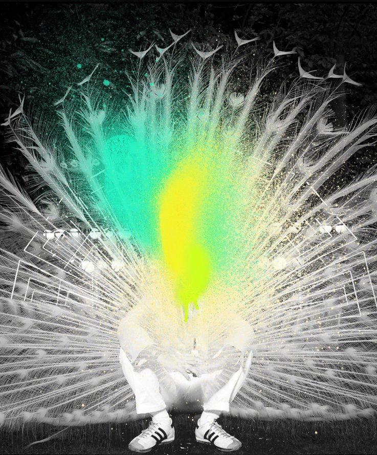 Feathered up Peacock II, 2016<br />
Inkjet print and color spray paint on archival mat paper, 50 x 50 cm.