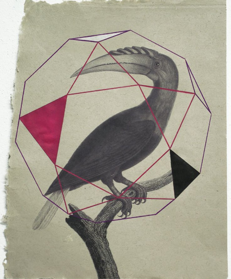 Tucano, 2011, <br />
Print and coloured pencils on handmade paper, 33x44 cm