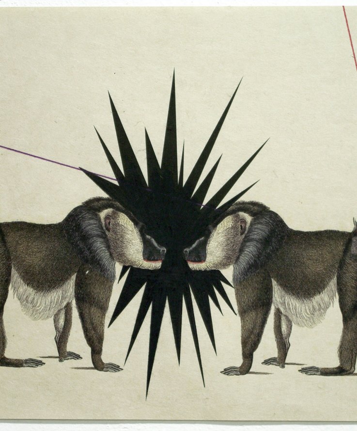 Reign, 2011, <br />
Print and coloured pencils on handmade paper, 30x46 cm