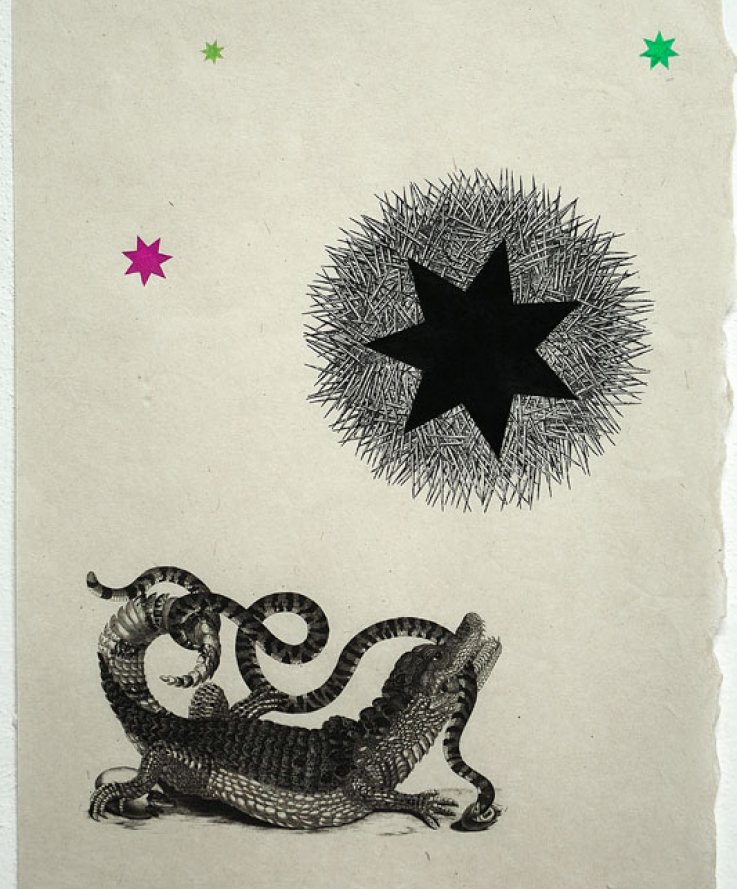 Croco Star, 2011, <br />
Print and coloured pencils on handmade paper, 32x44 cm