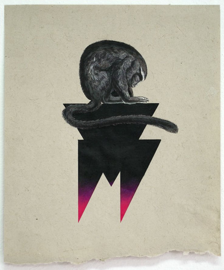 Versus, 2011,<br />
Print and coloured pencils on handmade paper, 28x34 cm