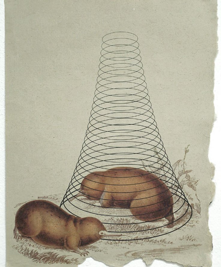 Satosa, 2011, <br />
Print and coloured pencils on handmade paper, 30x38 cm