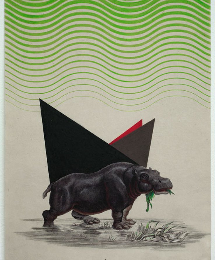 Hippo, 2011, <br />
Print and coloured pencils on handmade paper, 32x43 cm