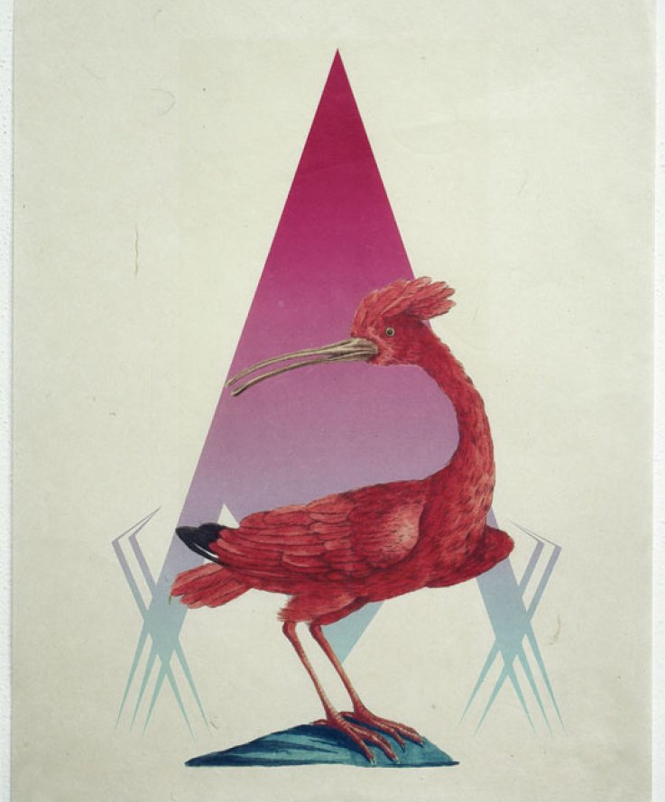 Birdie, 2011, <br />
Print and coloured pencils on handmade paper, 32x43 cm